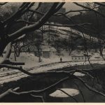 Arthur B. Rickerby, Park in the Snow, c.1950, silver gelatin print on semi-matte fibre paper ©Arthur B. Rickerby