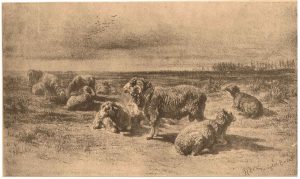 Louis Alphonse Poitevin (1819-1882) "Reproduction of a Drawing of Sheep in Meadow by Rosa Bonheur, 1855", 1856 - 1857 photolithograph 21,4 (32,1) x 35,7 (48,6) cm