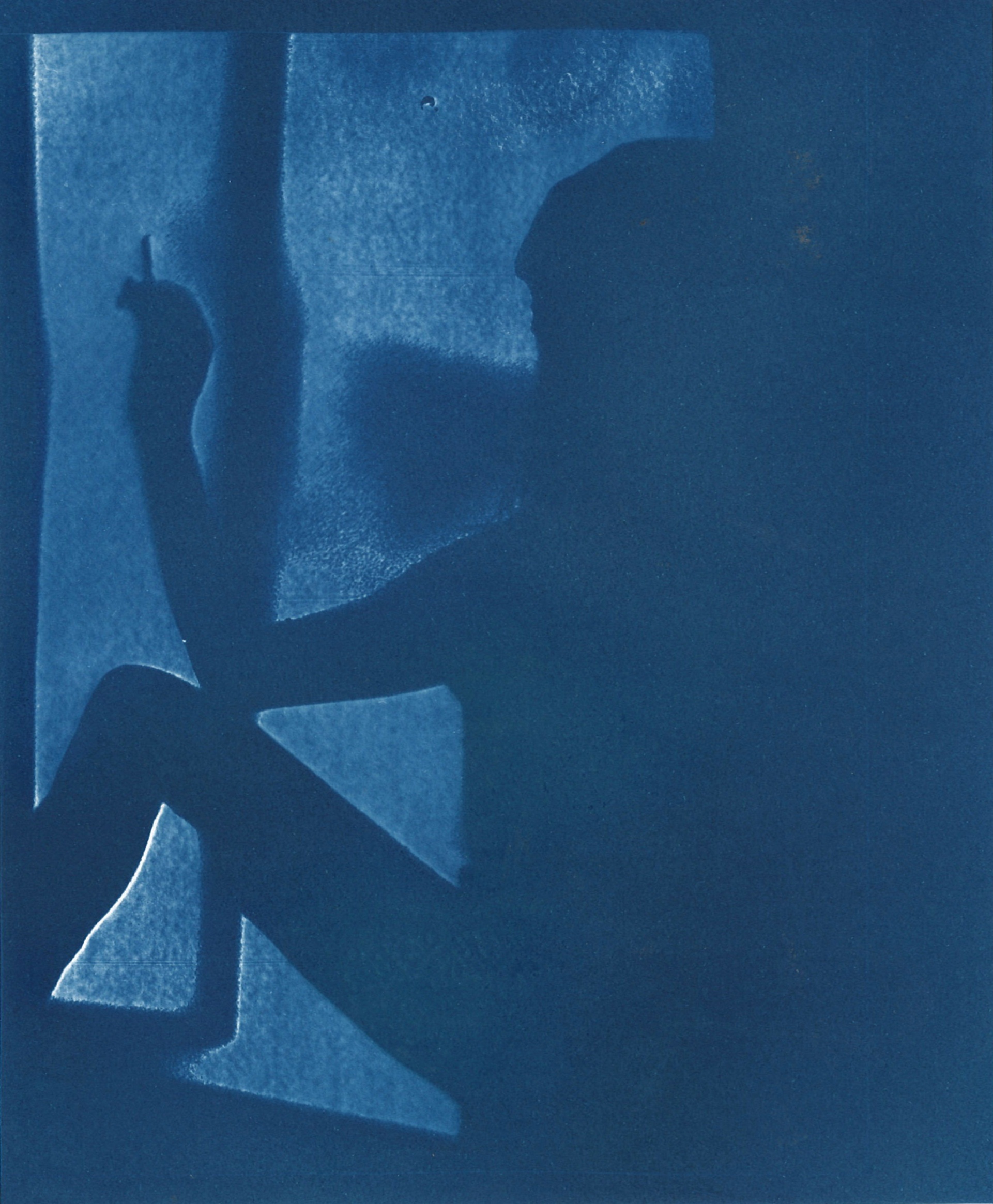 Manon Martsch, "L'Einsichten in Aussichten", 2021, cyanotype, 19,9 x 16,3 cm