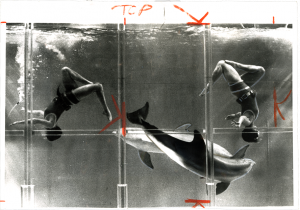 Unidentified Photographer, "Dolphin Entertainment", April 11, 1969, silver gelatin print with retouchings, gouache and crop marks in red crayon on glossy fibre paper, printed by April 16, 1969, © Unidentified Photographer, courtesy Daniel Blau, Munich